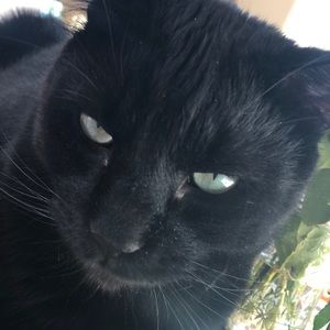 Meet your Posher, Tim